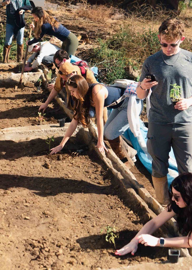 Grupo de estudiantes plantando árboles nativos para compensar la huella de carbono de los traslados diarios del programa
