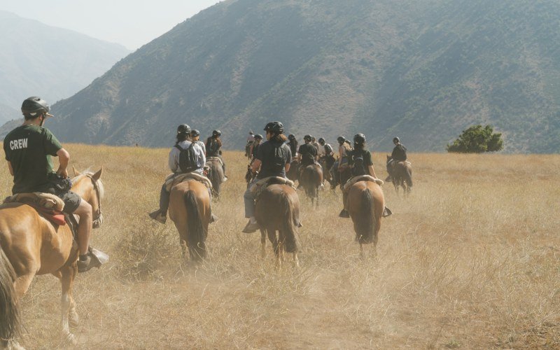 Group of riders crossing a golden Andes meadow with mountain peaks behind, Yerba Loca, Chile