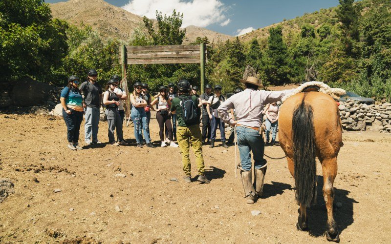 Guide introducing a horse to riders before setting off